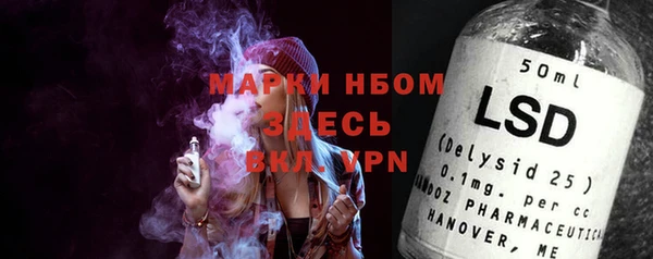 хмурый Алзамай