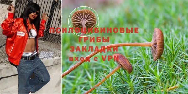 хмурый Алзамай