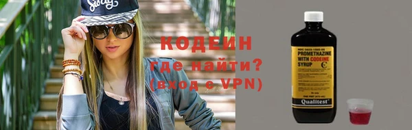 хмурый Алзамай