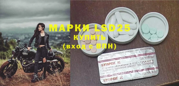 хмурый Алзамай