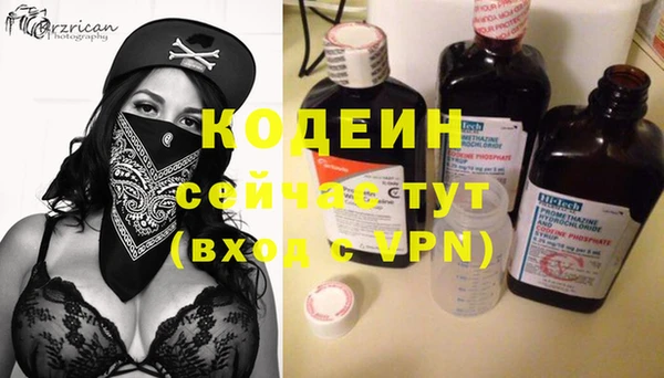 хмурый Алзамай
