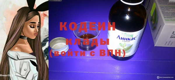 хмурый Алзамай