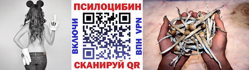 Псилоцибиновые грибы прущие грибы  закладка  Спасск-Рязанский 